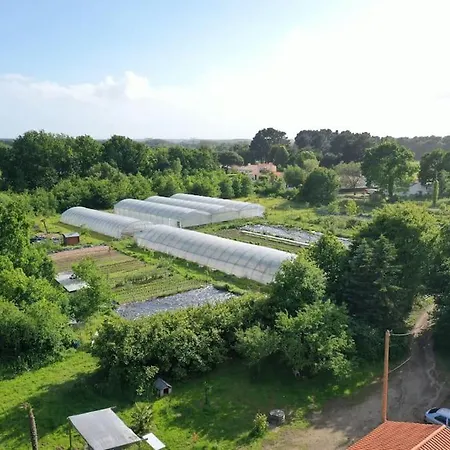 A La Ferme, Au Nid Des Colibris
